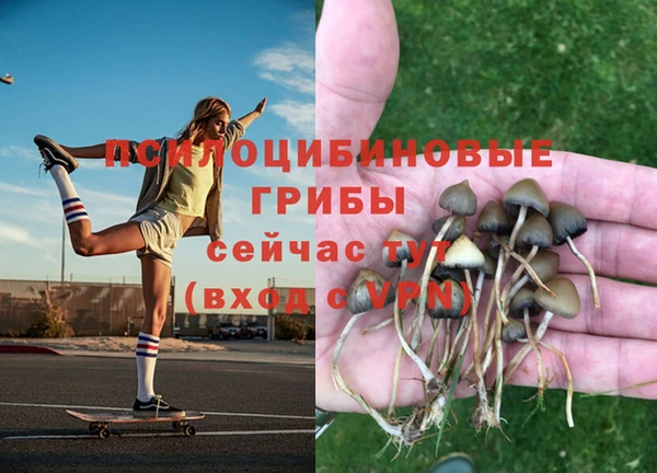 скорость Абинск