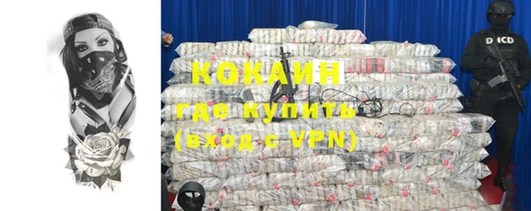 спайс Няндома